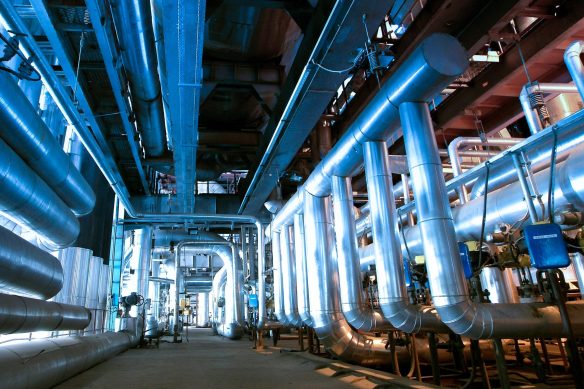 WhatsApp Image 2025-02-02 at 4.38.17 PM