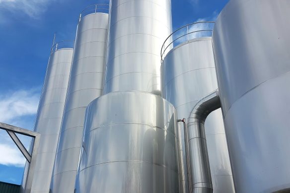 WhatsApp Image 2025-02-02 at 4.38.22 PM