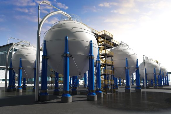 WhatsApp Image 2025-02-02 at 4.38.58 PM