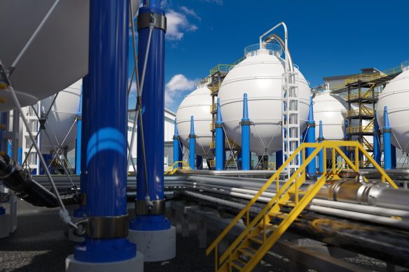 WhatsApp Image 2025-02-02 at 4.39.05 PM